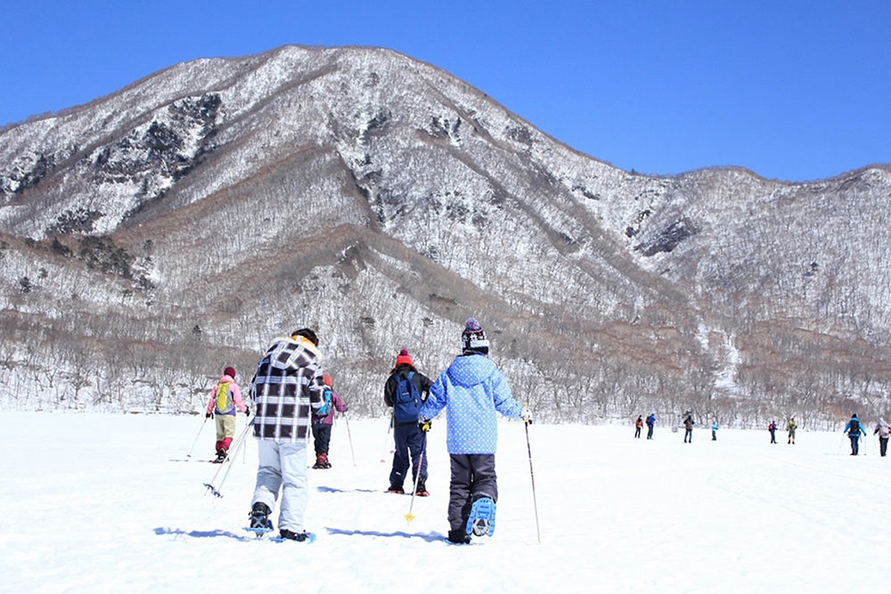 Snowshoeing