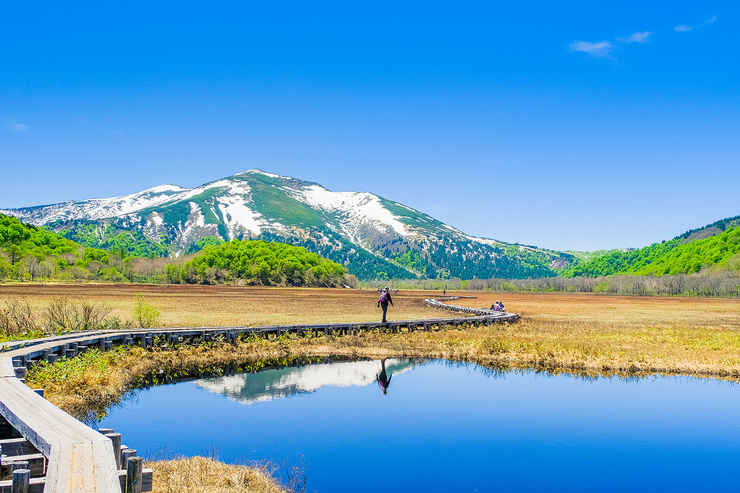 Gunma’s Flora and Fauna 