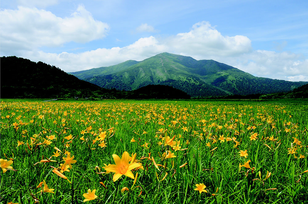 img_story_81_oze_04_03