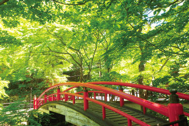 Be inspired and start planning your Gunma trip with our newest features