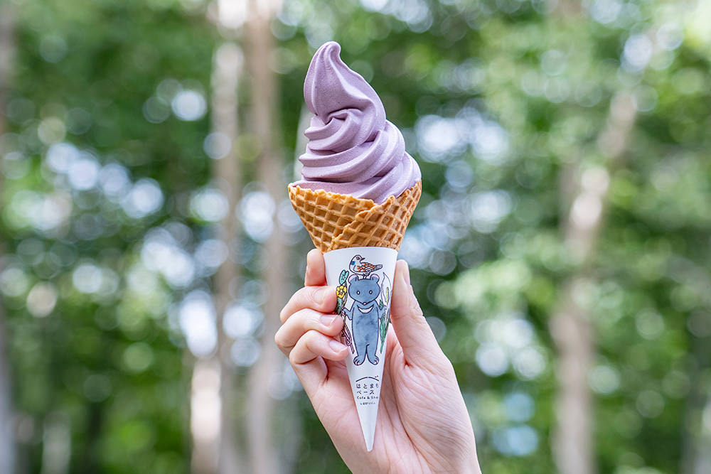 img_story_81_oze_02_03