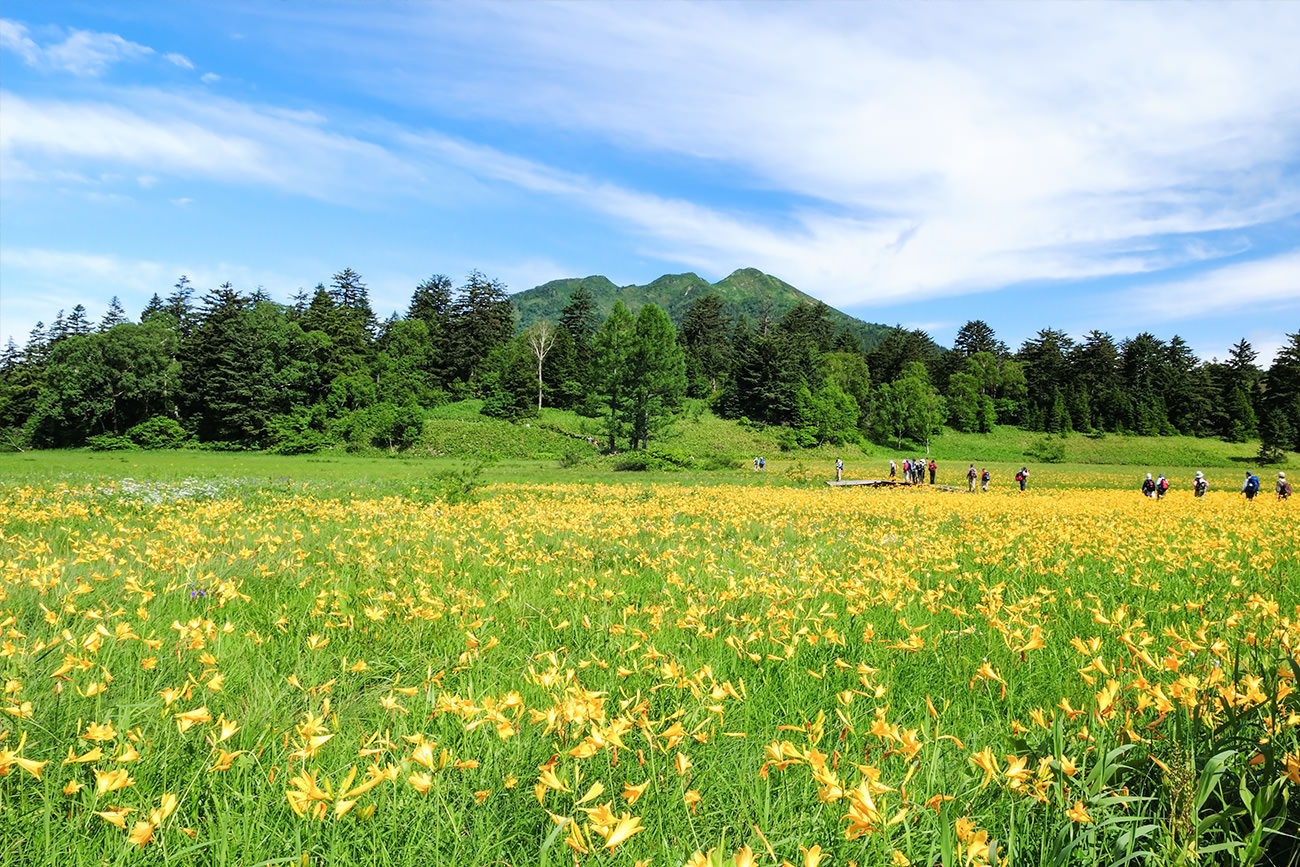 Nature & Outdoors