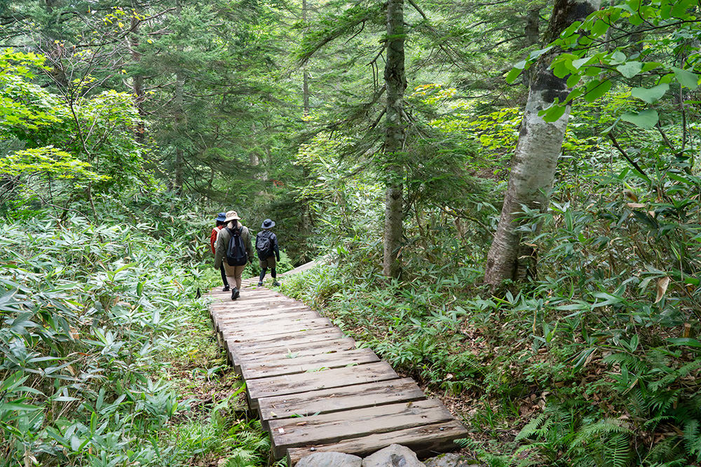 img_story_81_oze_03_03