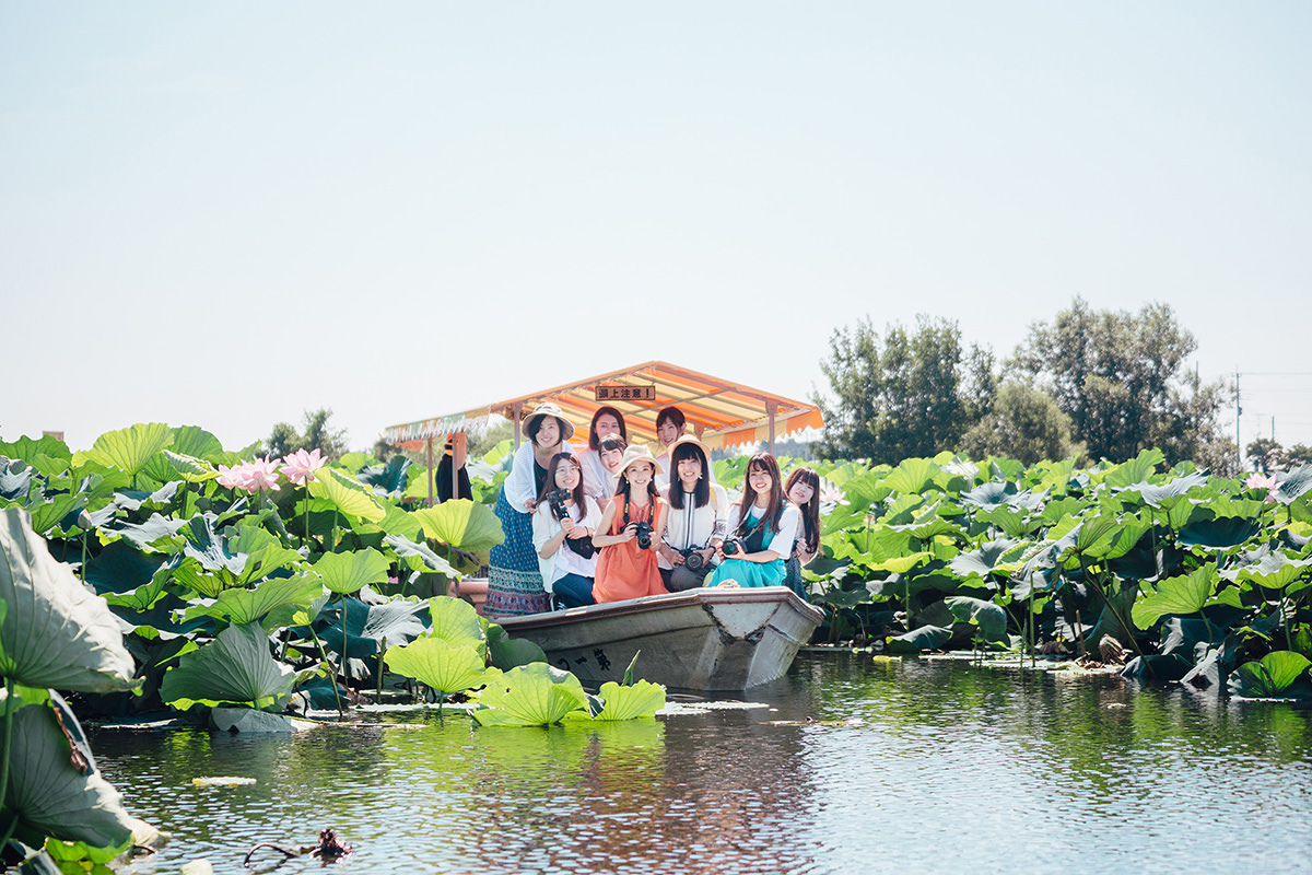 Jonuma Summer Lotus Flower Festival