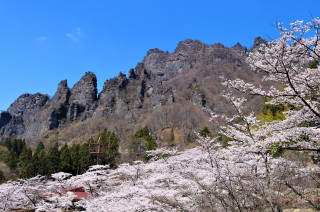 主要旅行目的地