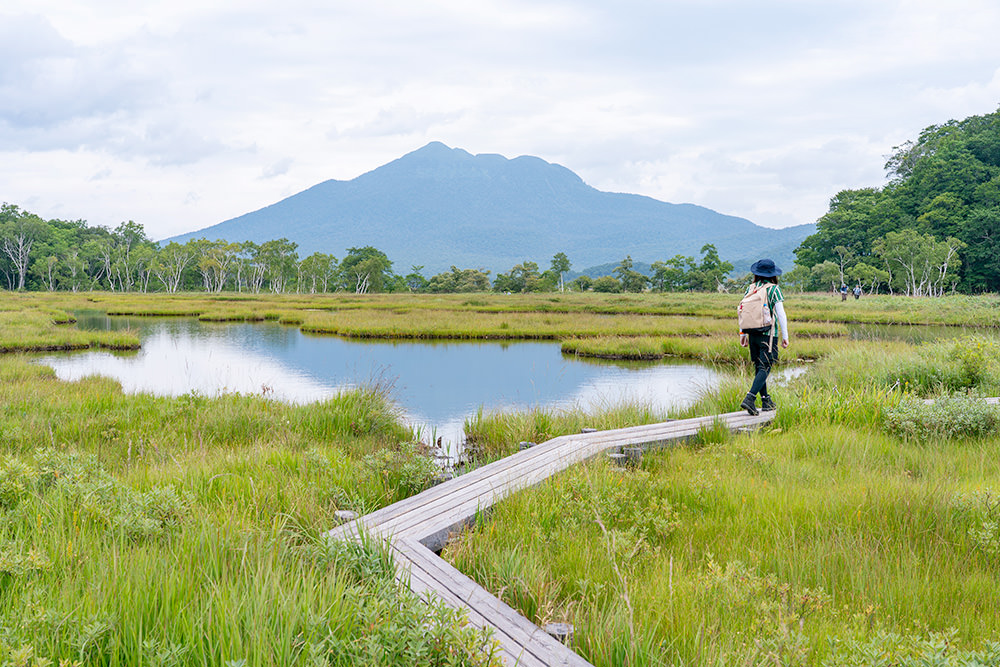 img_story_81_oze_01_04