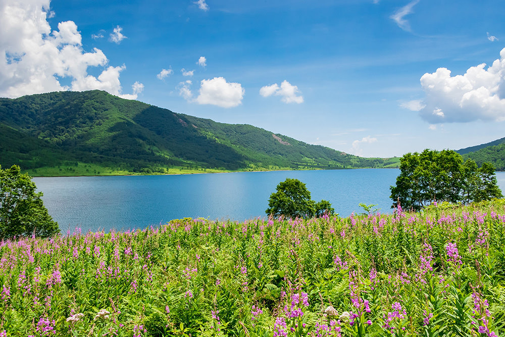 Camping in Gunma overview