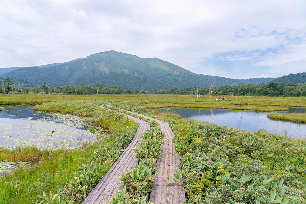 img_story_81_oze_04_01