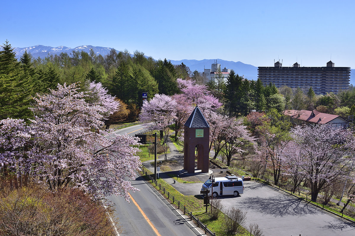 道之驿草津运动茶屋公园