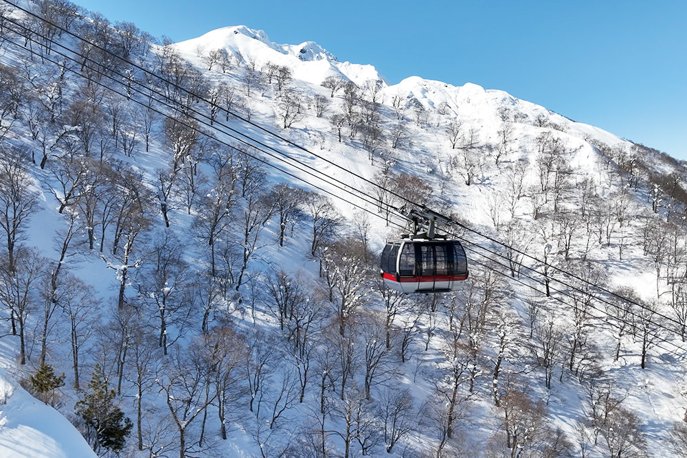 img_story_82_snow_02-01