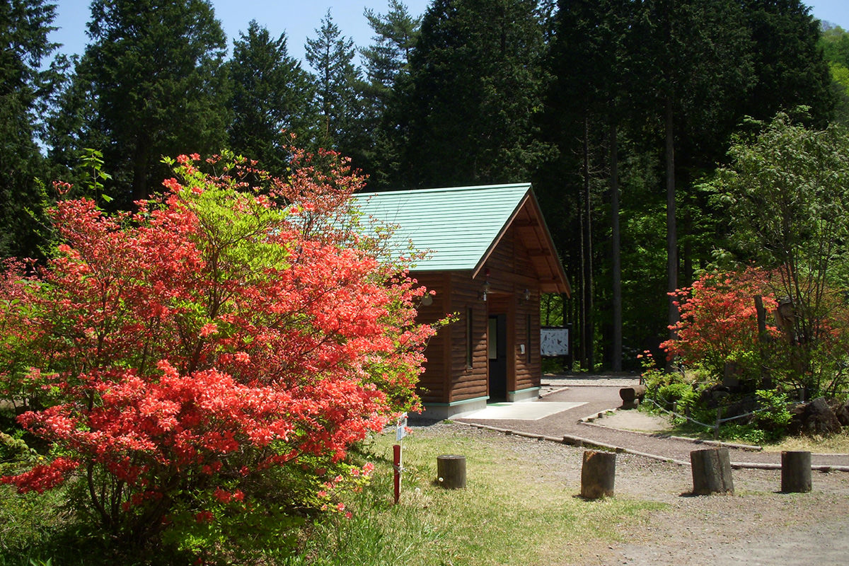 Ikaho Forest Park