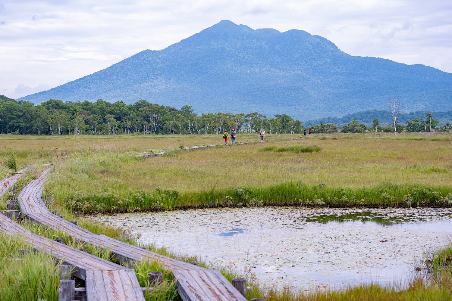 A Guide to Hiking Ozegahara, Gunma's High Altitude Marshland
