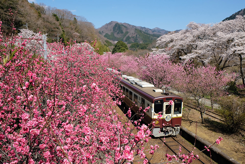 Watarase Keikoku Railway