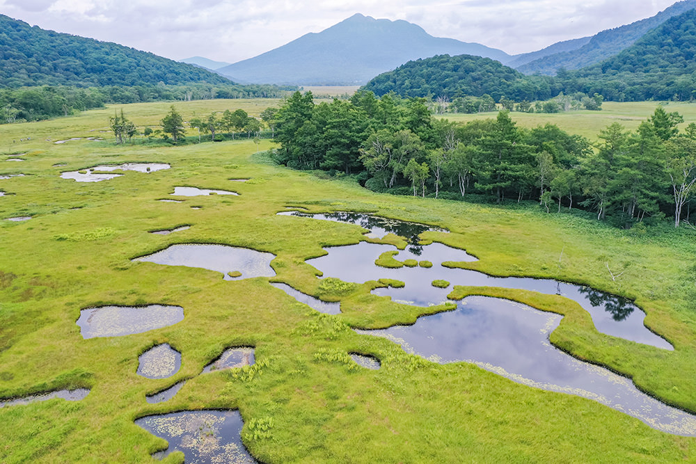 img_story_81_oze_01_01