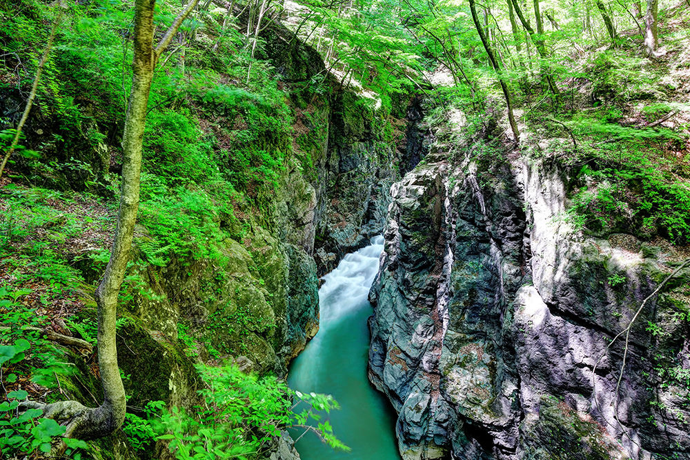 Yakushi Onsen Hatago