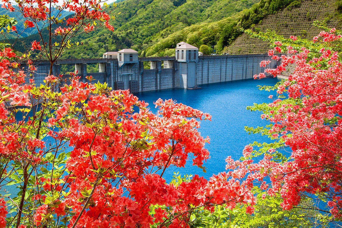 Lake Okushima