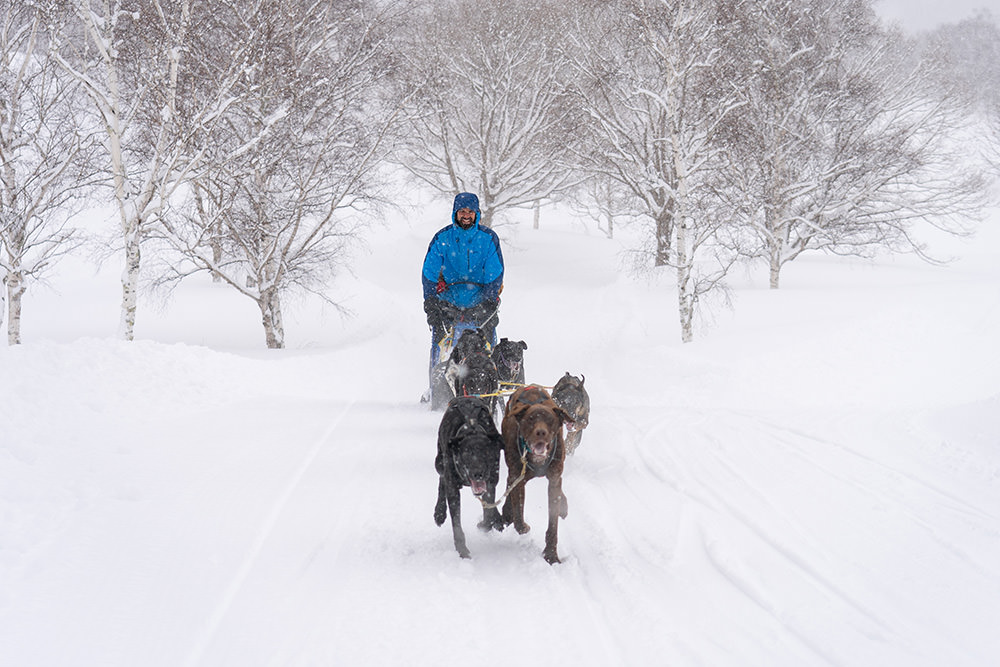 img_story_82_snow_03-01