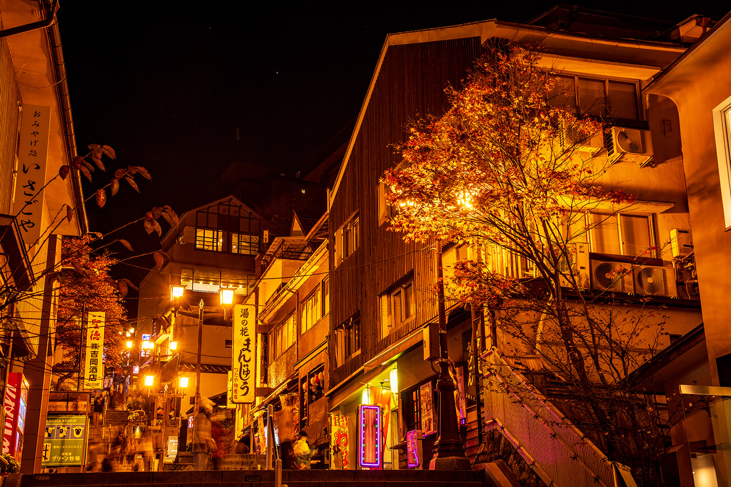 Enjoy a Relaxing Retreat in Ikaho