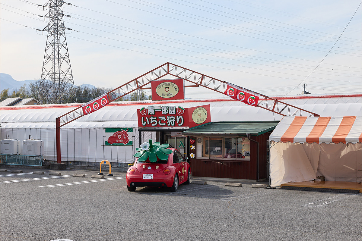 STRAWBERRY FARM 阳一郎园