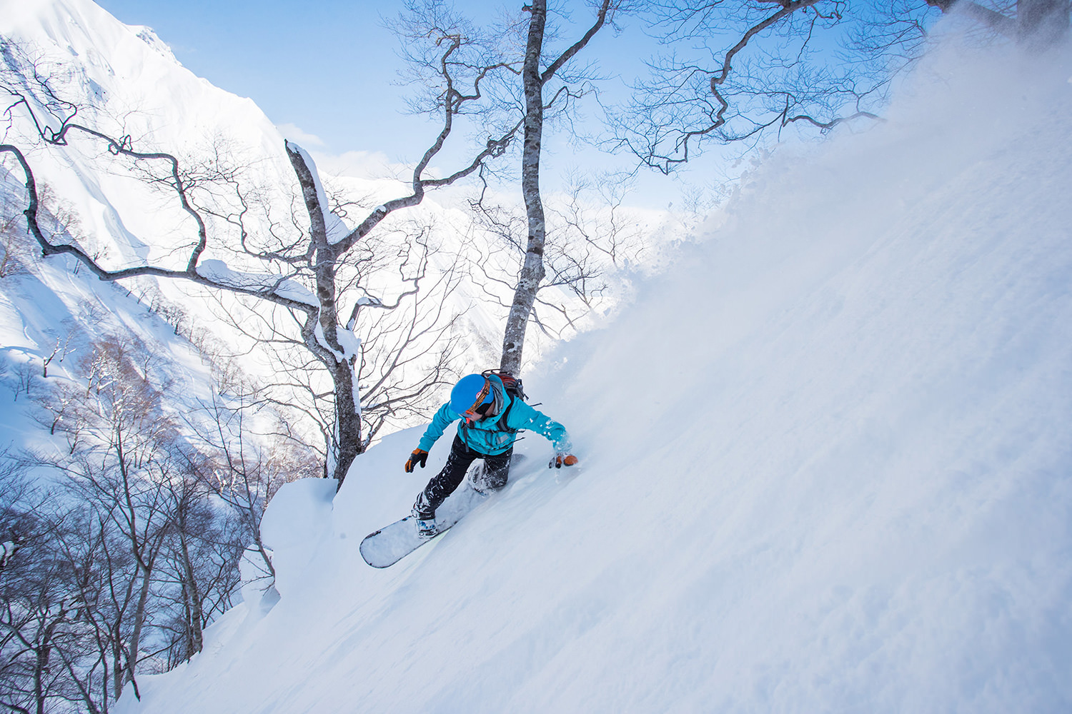 众多世界级滑雪及滑雪板体验机会