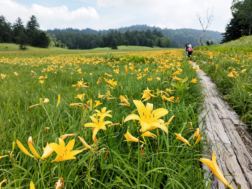 img_story_81_oze_01_03