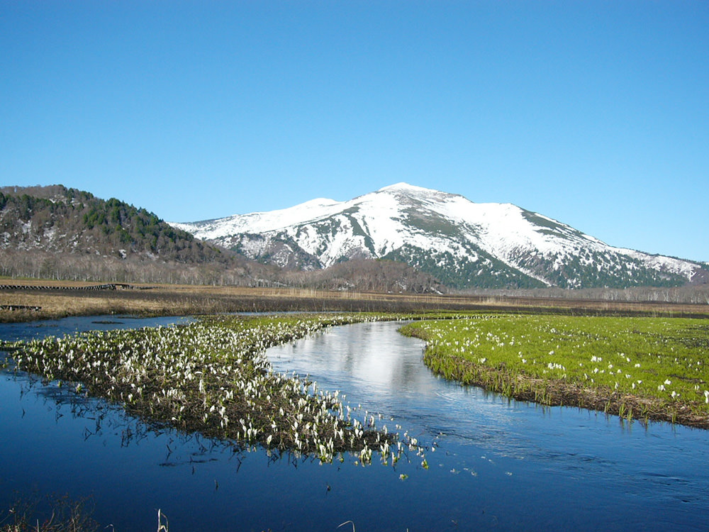 img_story_81_oze_04_02