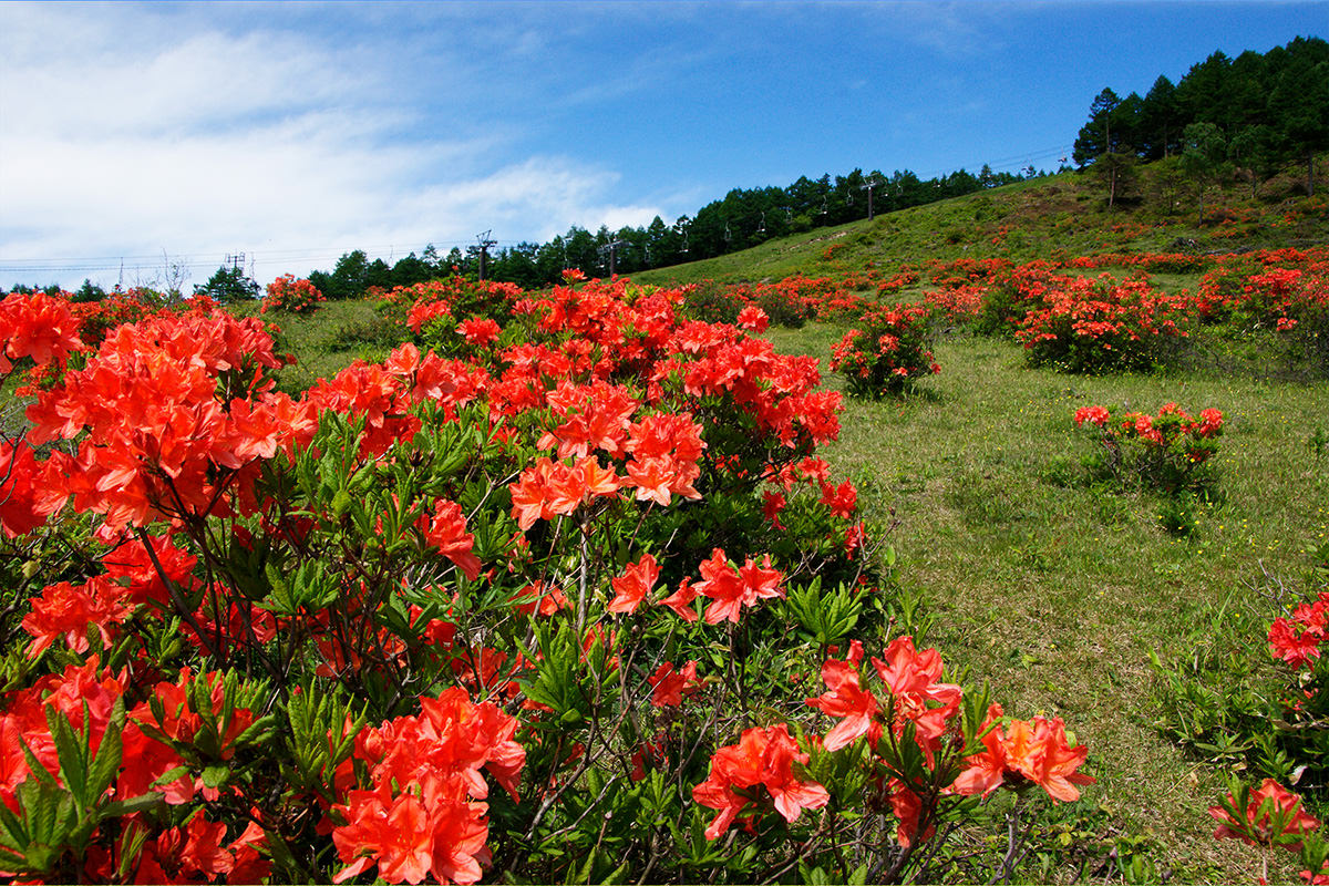 Kazawa Yunomaru Plateau