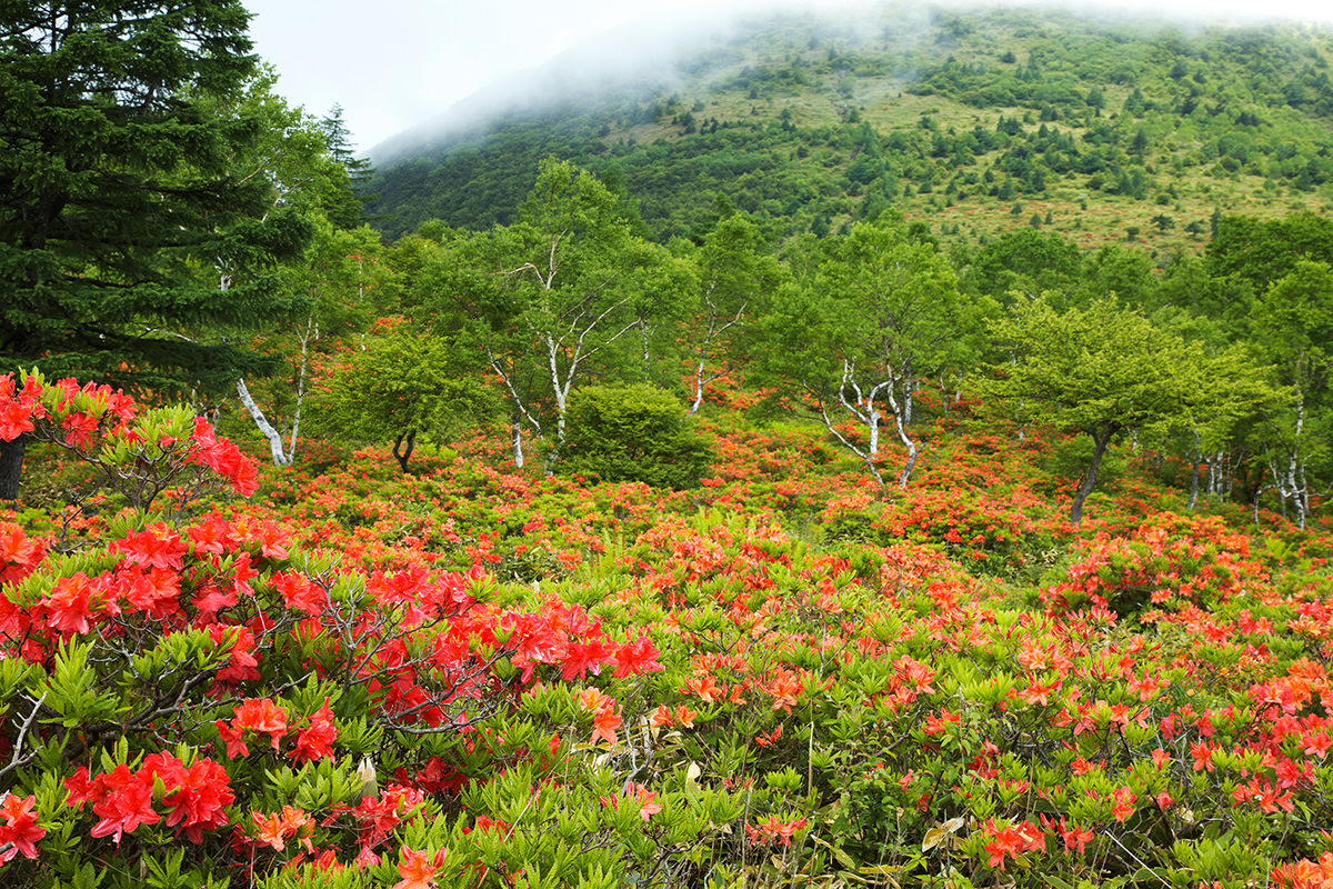 Kazawa Yunomaru Plateau