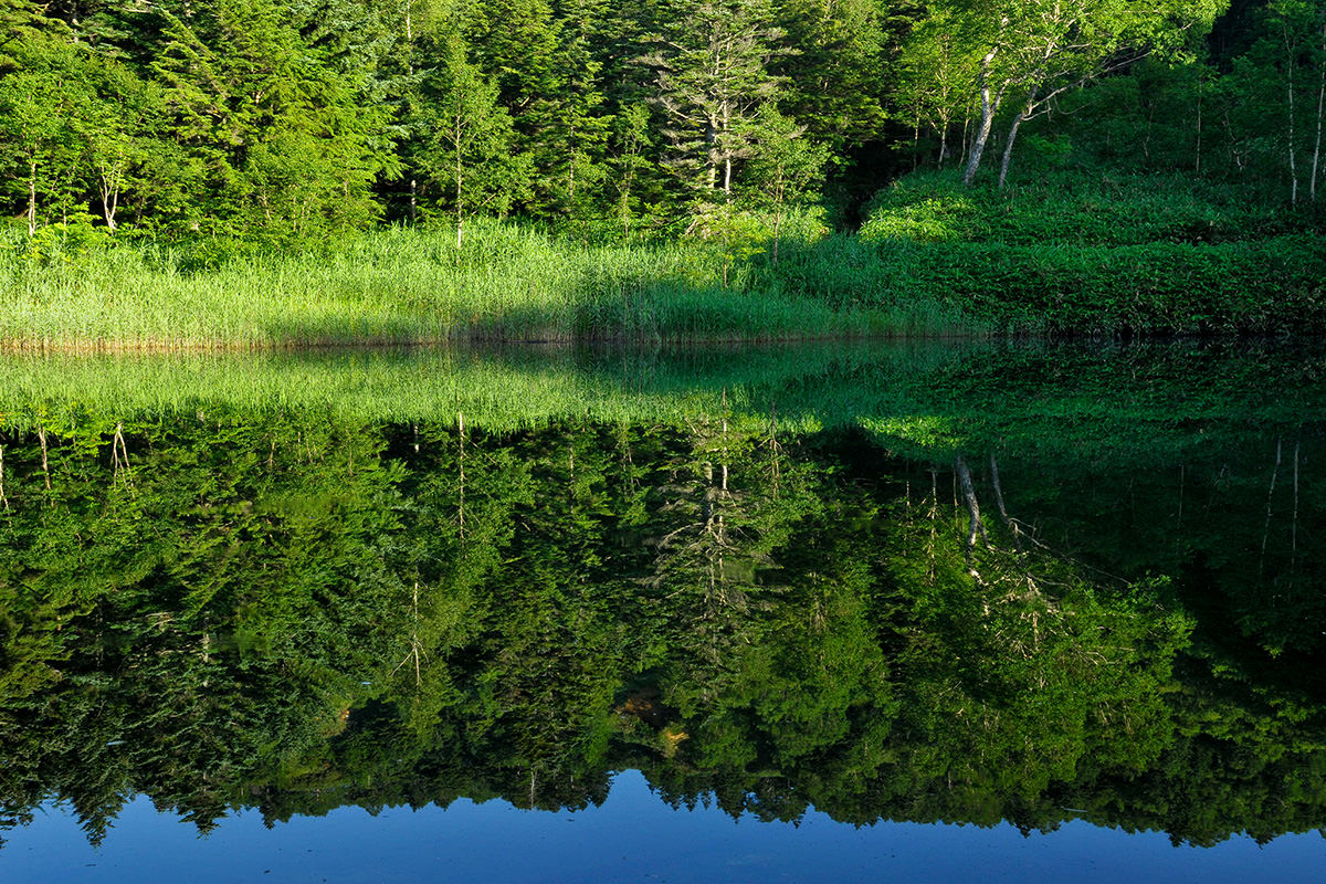 Ushiike Pond