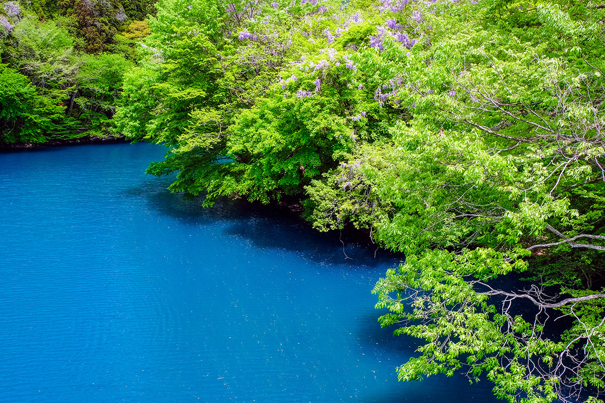 Lake Shima