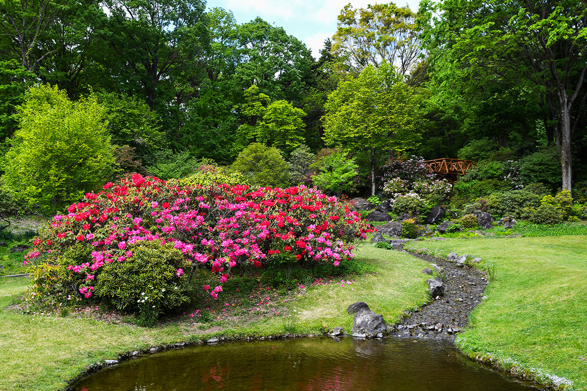 สวนป่าธรรมชาติอาคางิ (Akagi Nature Park)