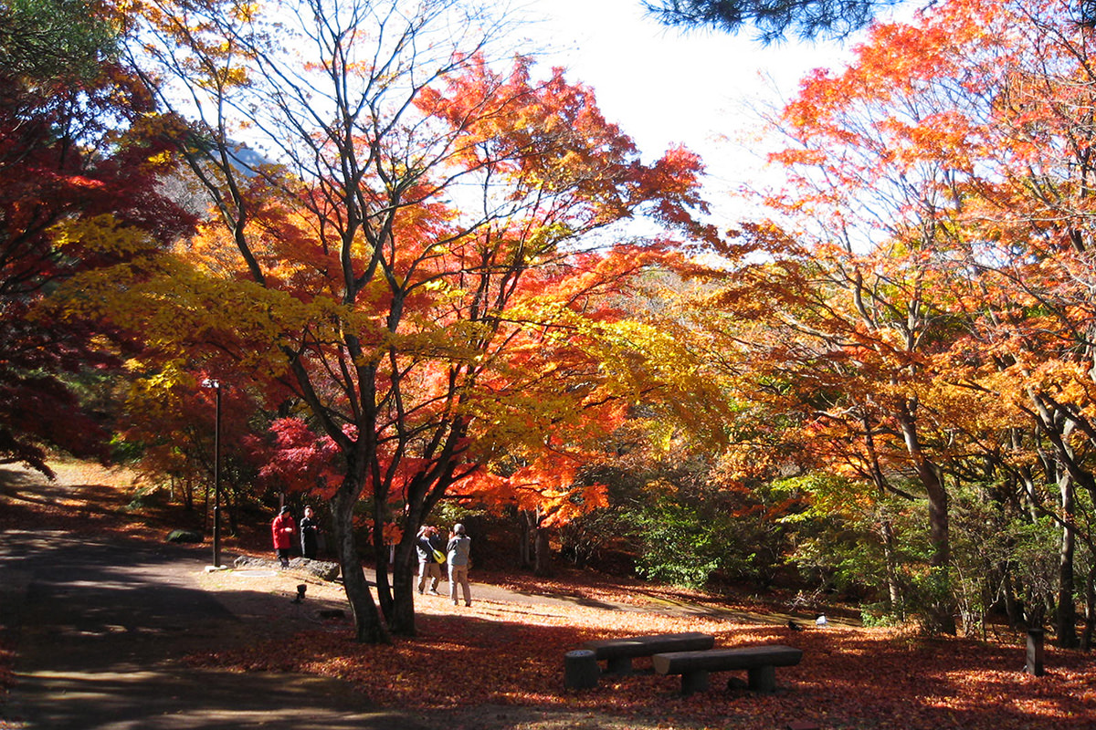 Uenoyama Park