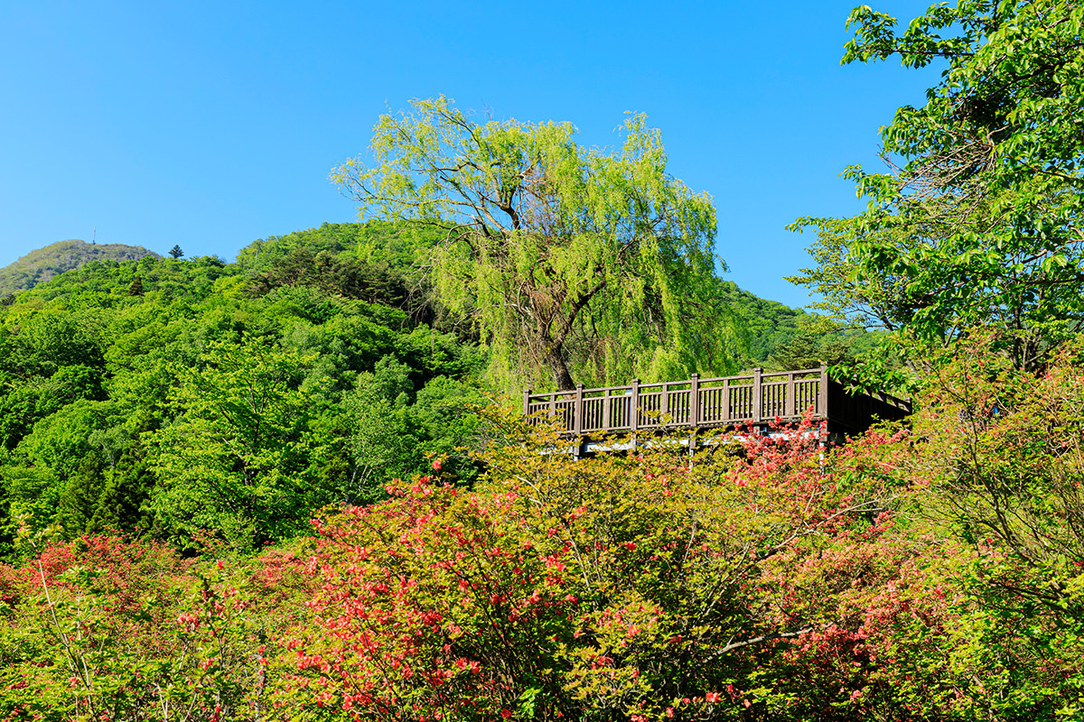 长峰公园