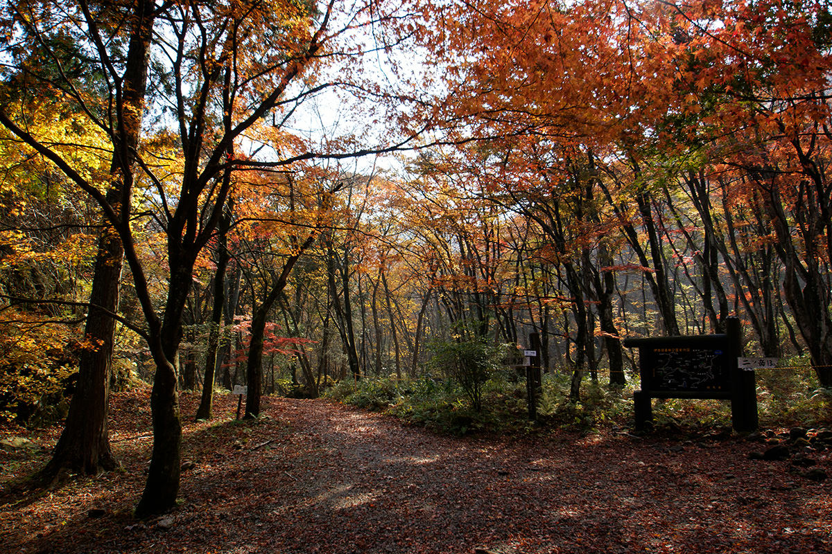 伊香保森林公園