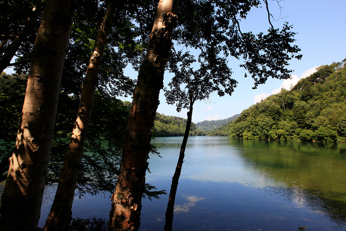 Lake Sugenuma