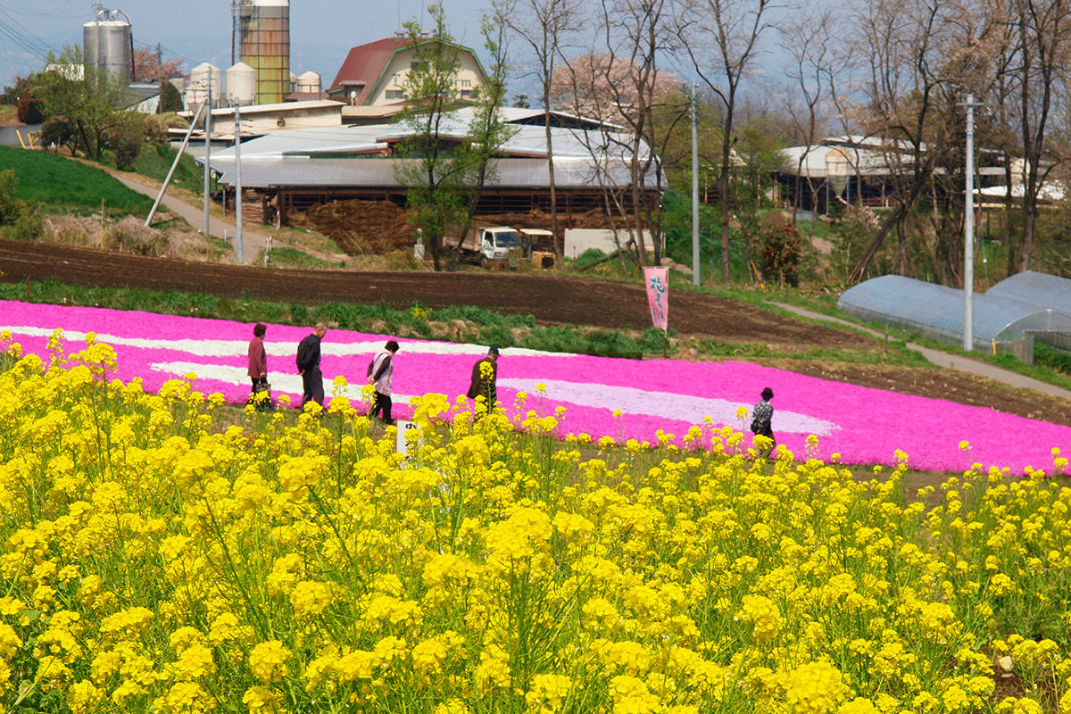 Hanadaka Flower-Viewing Hill