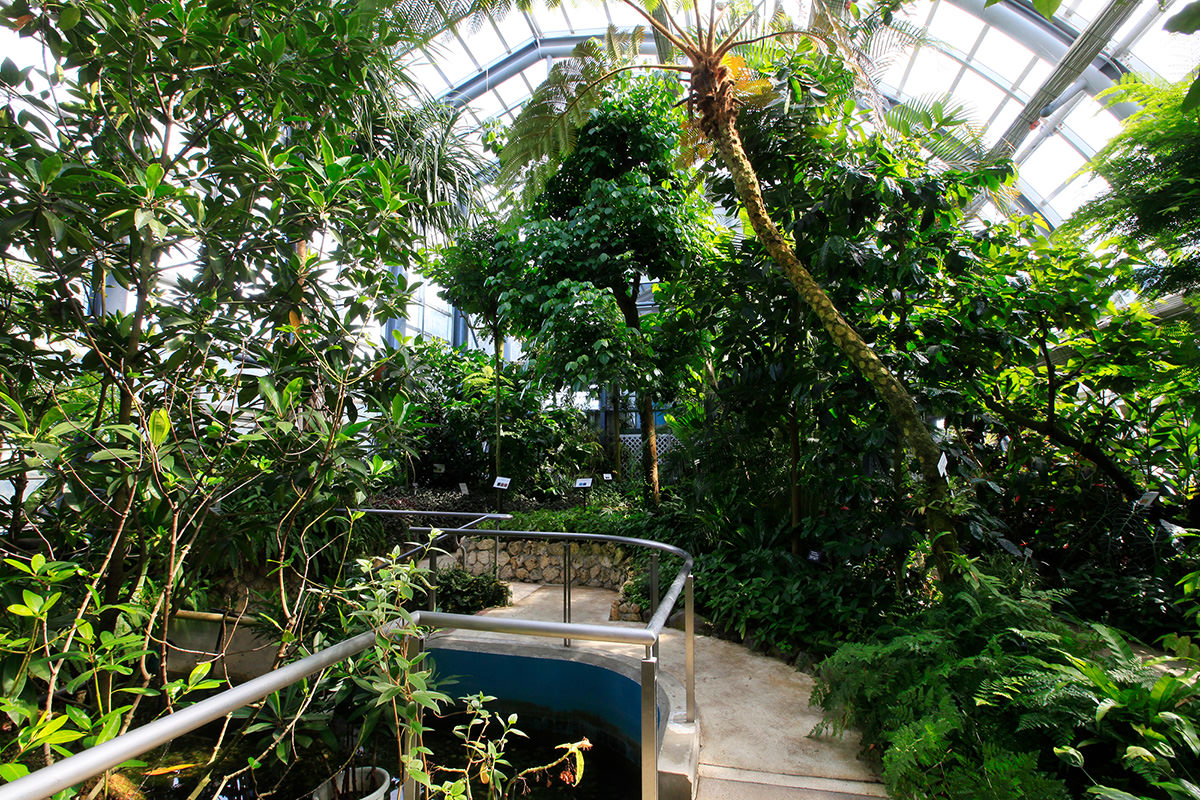 高崎染料植物園