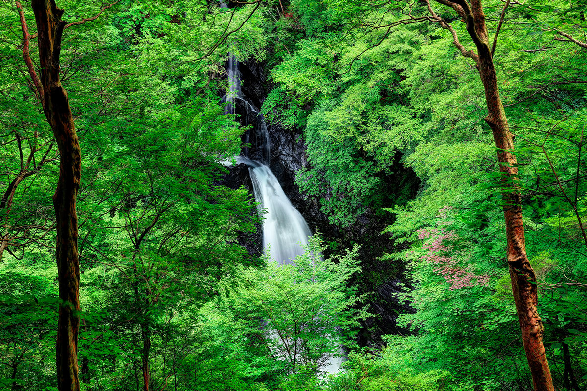 Konaka Otaki Waterfall