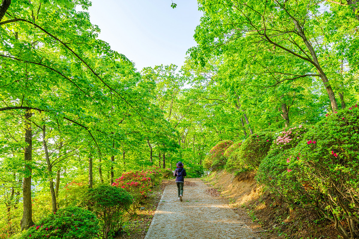 櫻山公園