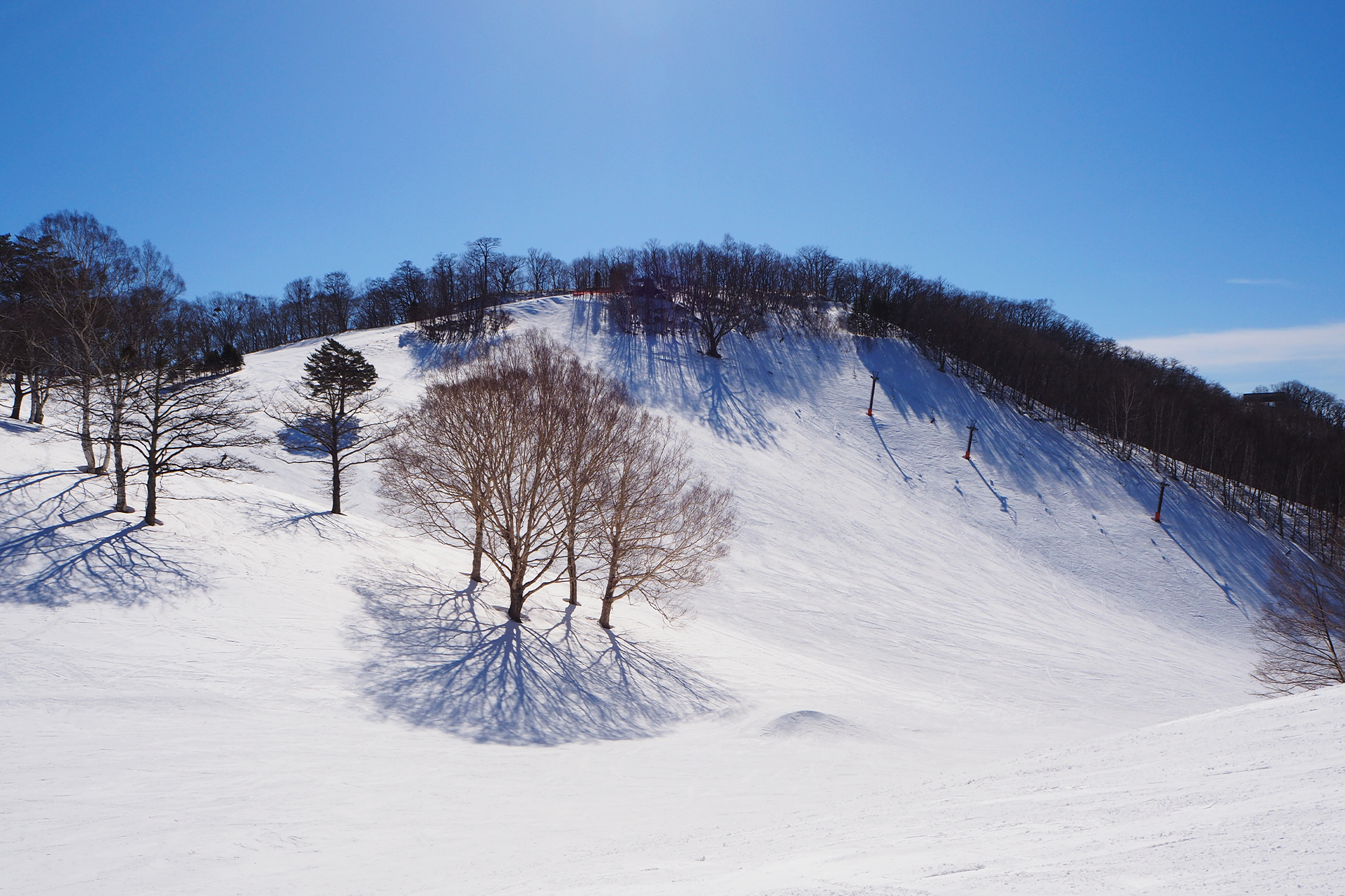 Snow Park Oze Tokura