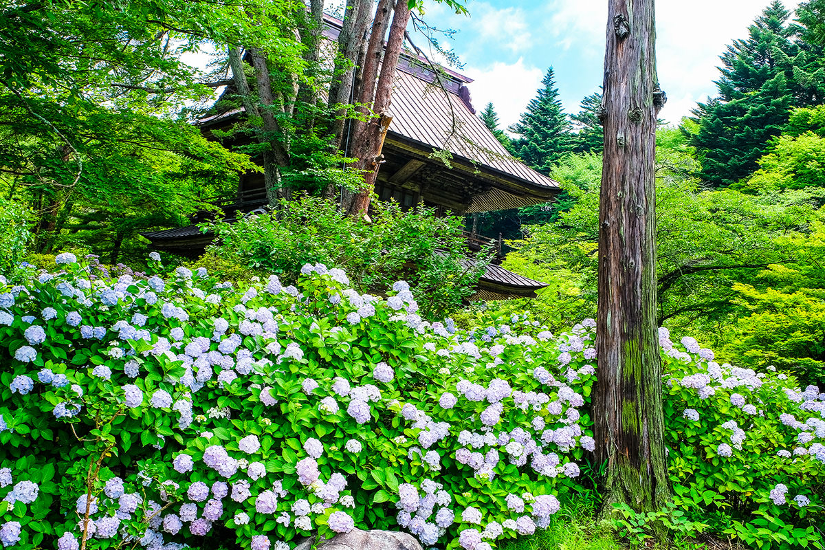 吉祥寺