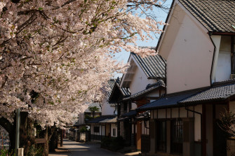 Konnyaku Park Gunma Official Tourist Guide