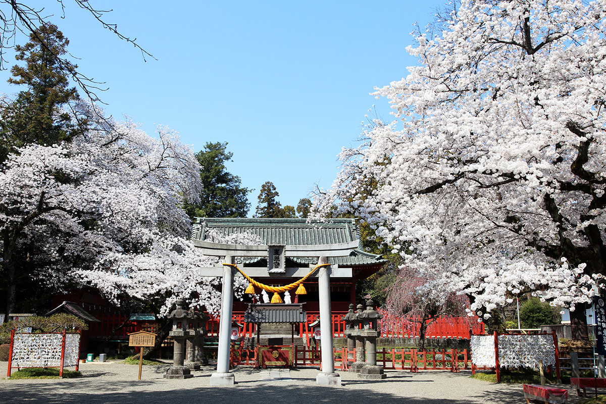 世良田東照宮