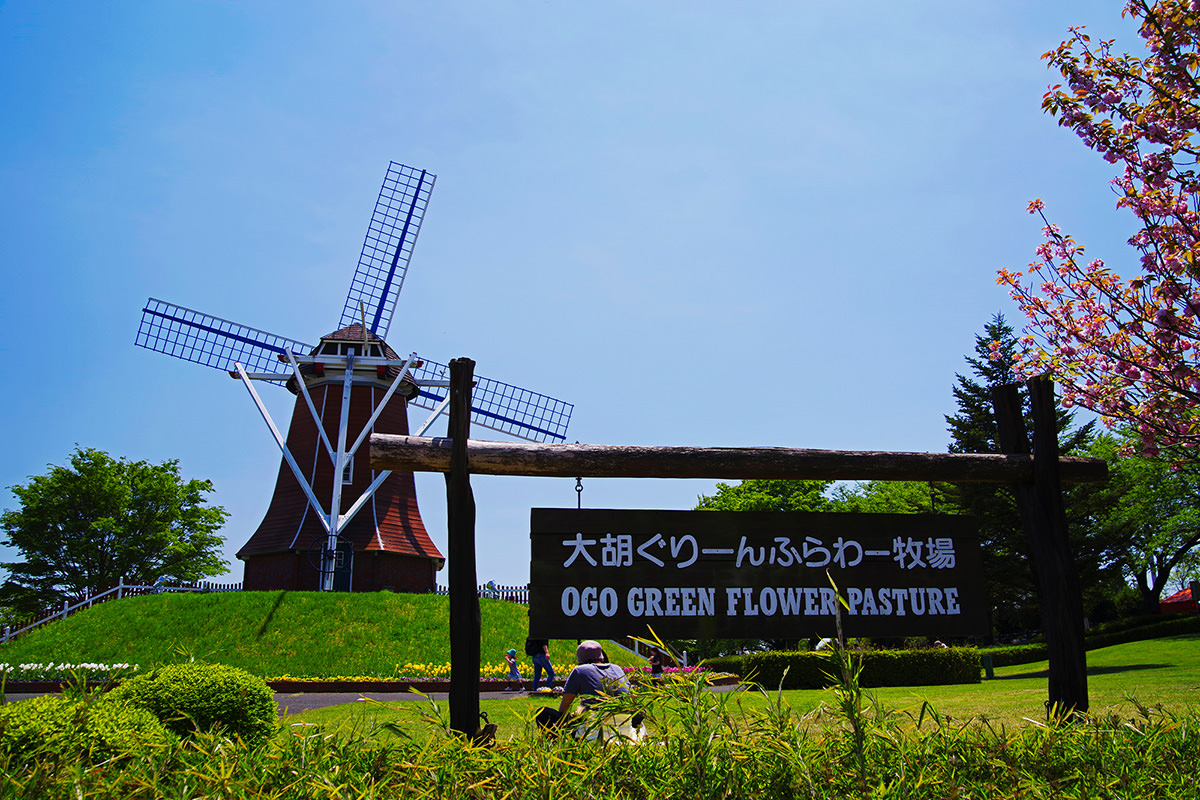Solar Eco Green Flower Bokujo Ogo Roadside Station