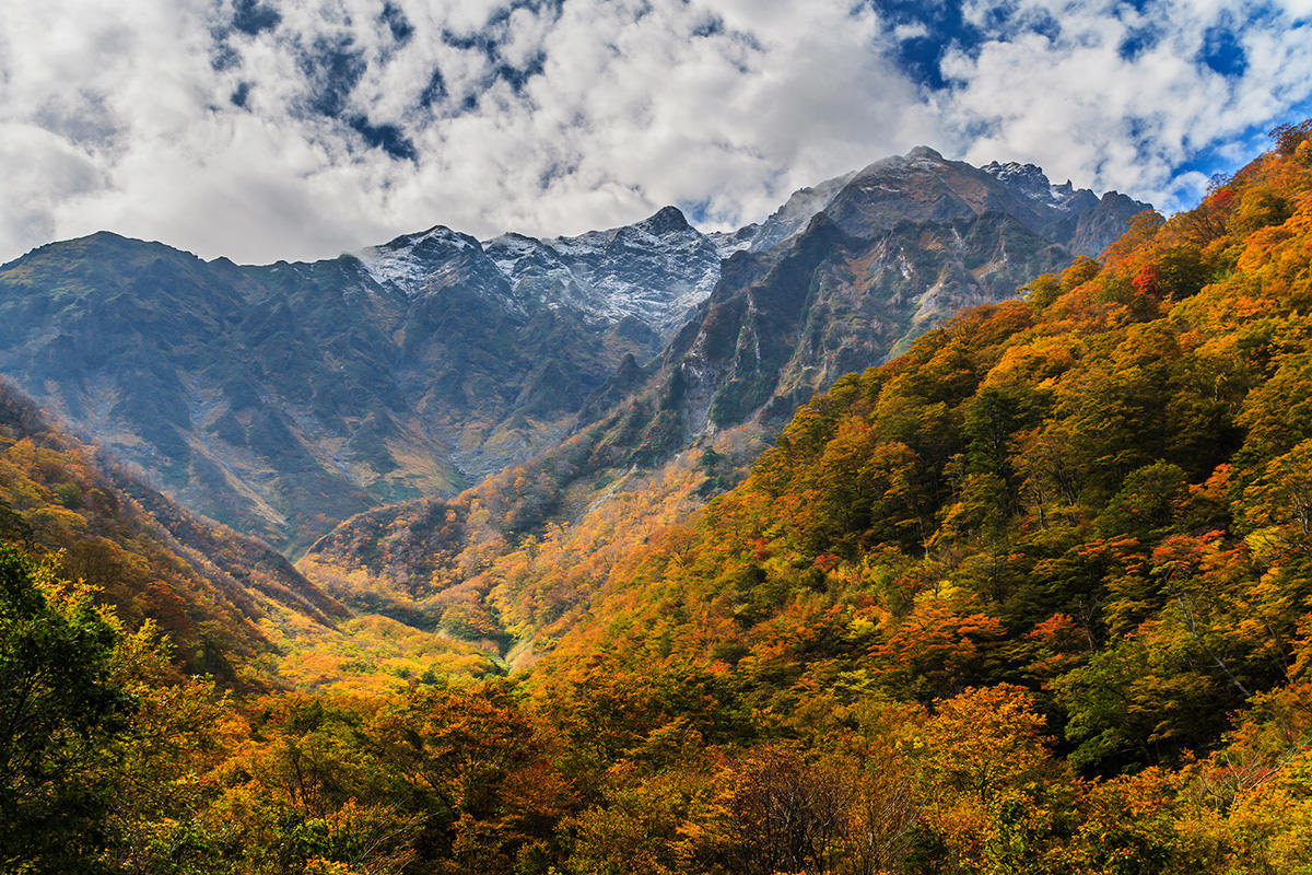 谷川岳的秋叶