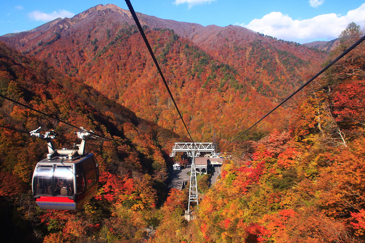 Autumn Leaves at Mt. Tanigawa