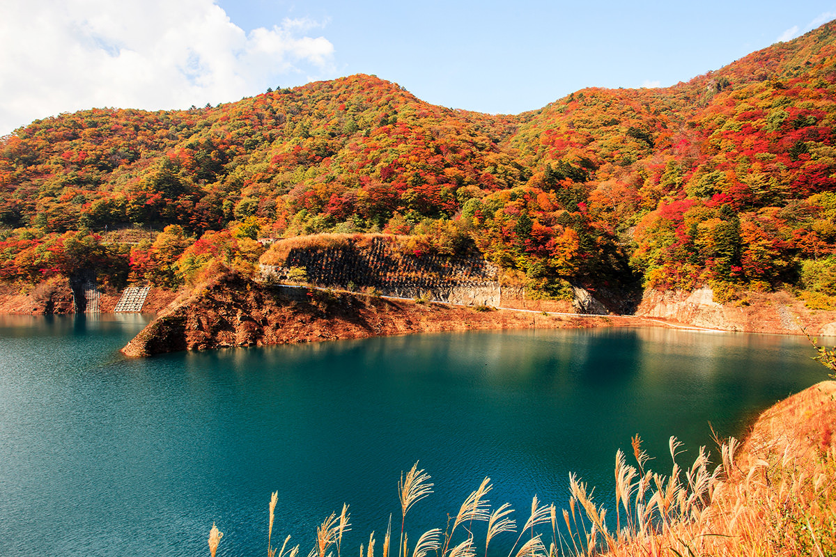 Autumn Leaves around Lake Okushima