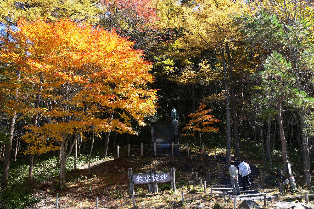 Autumn Leaves at Kuresaka Pass