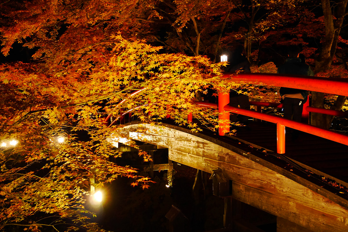 Kajika Bridge Autumn Illumination