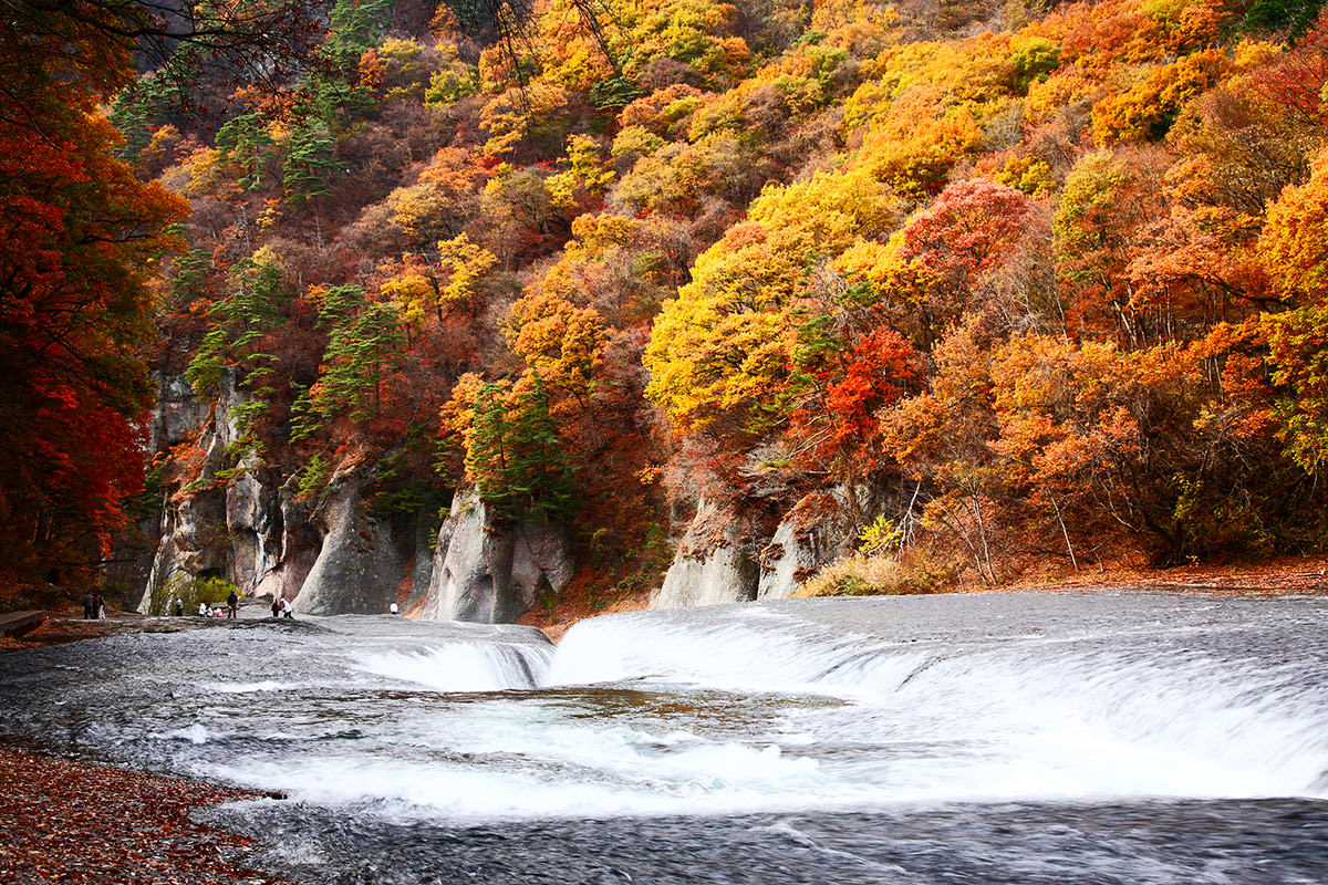 Autumn Leaves around Fukiware no Taki Falls
